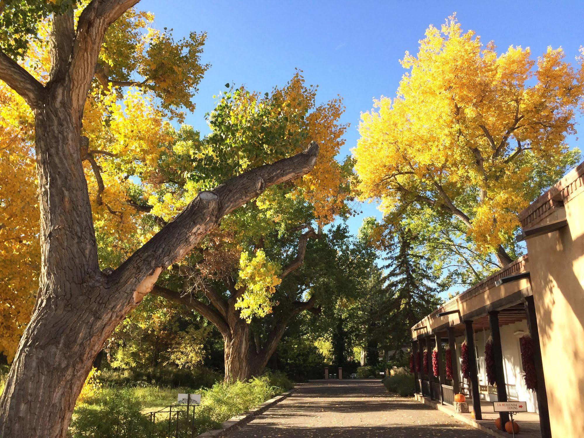 ロス ポブラノス ヒストリック イン & オーガニック ファーム Los Ranchos de Albuquerque エクステリア 写真